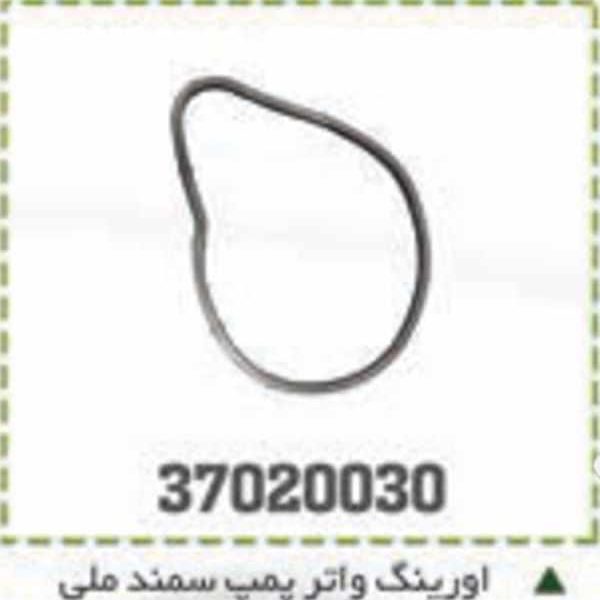 اورینگ واتر پمپ سمند ملی
