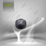 درب منبع انبساط رانا 206 Gisp