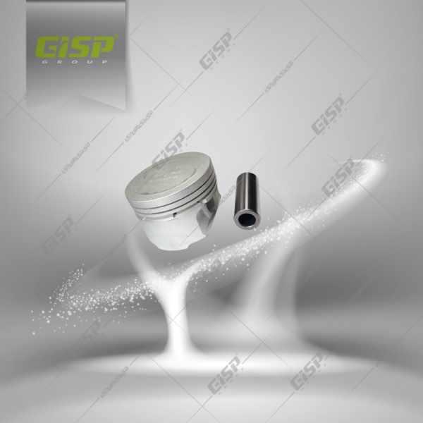 کیت پیستون با گژن پین 206تیپ5 سایز25 Gisp