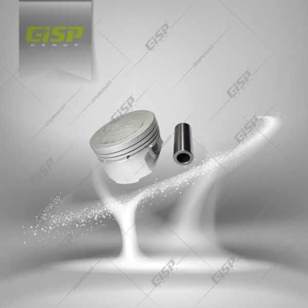 کیت پیستون باگژن پین استاندارد206تیپ5 Gisp