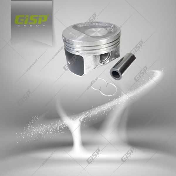 کیت پیستون باگژن پین سایز30روآ Gisp