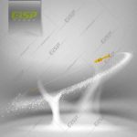 گیج روغن206تیپ2 Gisp