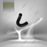 شیلنگ در قالپاق سوپاپ انژکتور پراید Gisp