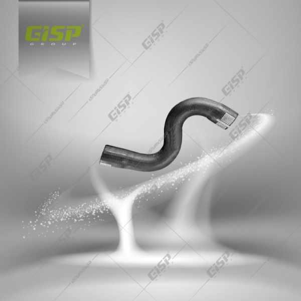 شیلنگ ورودی آب رادیاتور بالا رانا Gisp