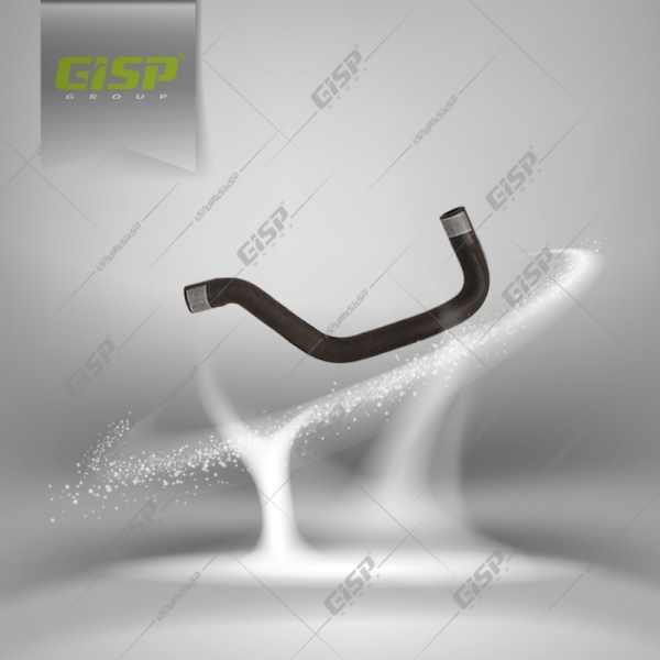 شیلنگ ورودی آب رادیاتور بخاری کوتاه 405 Gisp