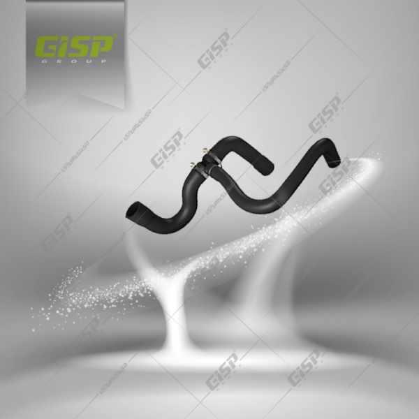 مجموعه شیلنگ خروجی آب رادیاتور پایین رانا Gisp