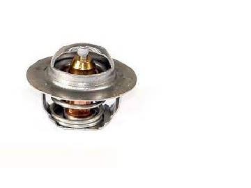 ترموستات 76.5 درجه نیسان GISP