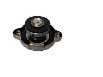 درب رادیاتور نیسان GISP