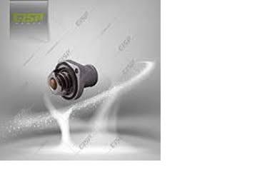 محفظه ترموستات PPS پژو 206 GISP