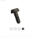 پیچ کالیپر عقب رانا چکاد