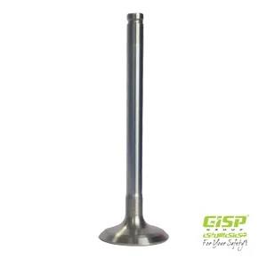 سوپاپ دود(دست کامل)206تیپ5 Gisp