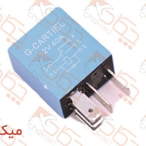 رله آبی 5 فیش کتابی چگاد