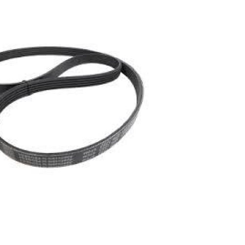 تسمه کولر 206 (PK1253)Gisp