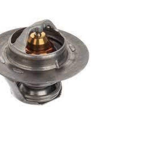 ترموستات75درجه 405 Gisp