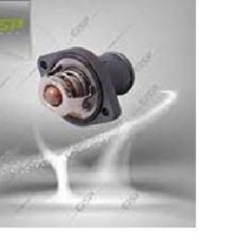 ترموستات76درجه بادرپوش Gisp 206_PPS