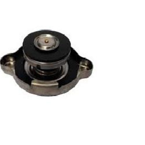 درب رادیاتور نیسان GISP