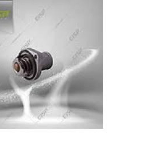 محفظه ترموستات PPS پژو 206 GISP