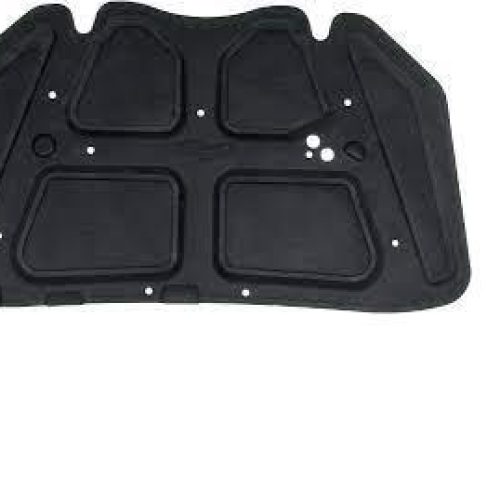 نمدی زیر کاپوت تیبا Gisp