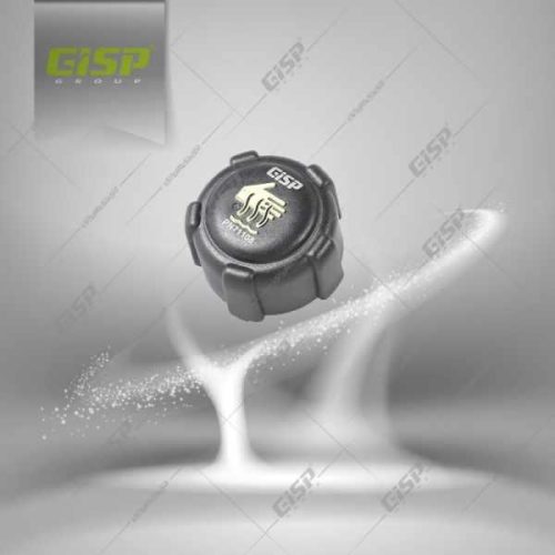 درب منبع انبساط ال90 مگان ساندرو Gisp