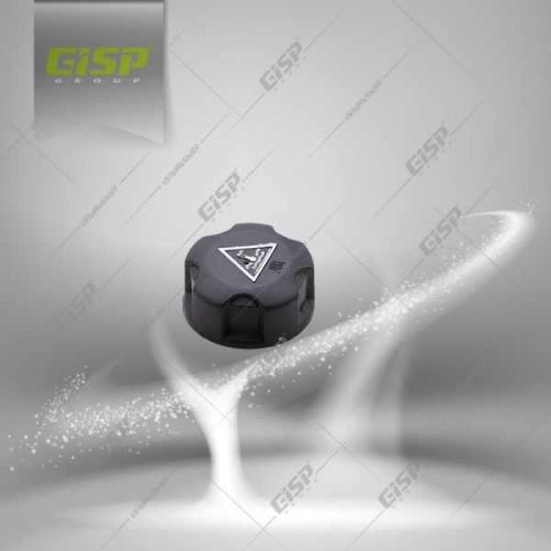 درب منبع انبساط رانا 206 Gisp