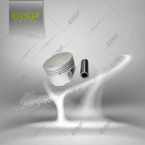 کیت پیستون با گژن پین 206تیپ5 سایز25 Gisp