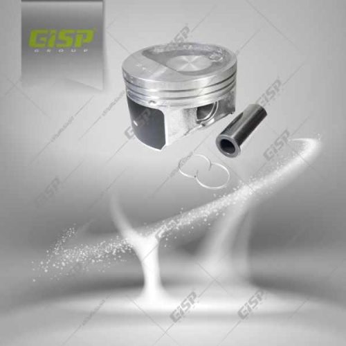 کیت پیستون با گژن پین استاندارد روآ Gisp