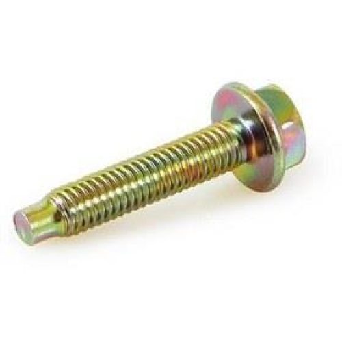 پیچ فلنجی درب سوپاپ(M6*30) پراید GISP