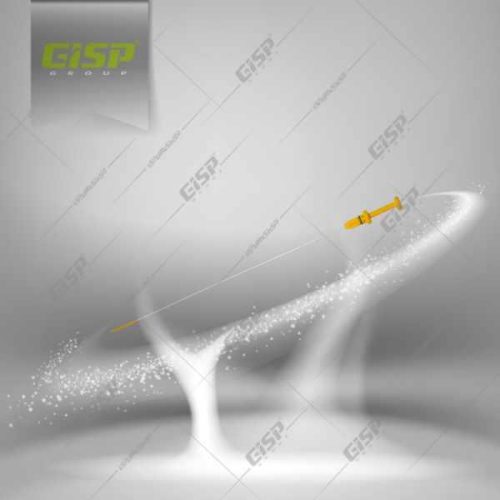 گیج روغن206تیپ2 Gisp