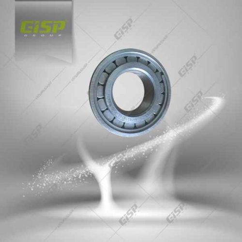 بلبرینگ بزرگ گیربکس 405 (N41627)Gisp