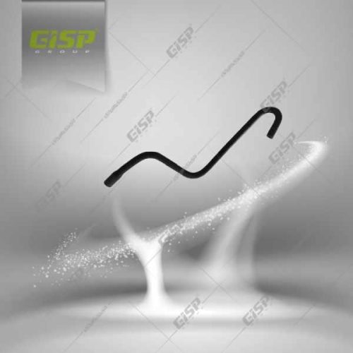 شیلنگ بخار روغن از قالپاق سوپاپ به منیفولد (عصایی) 405 Gisp