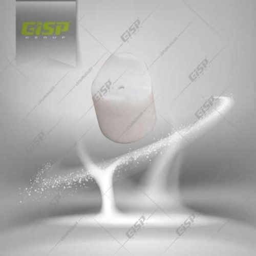 پلانجر 405 Gisp