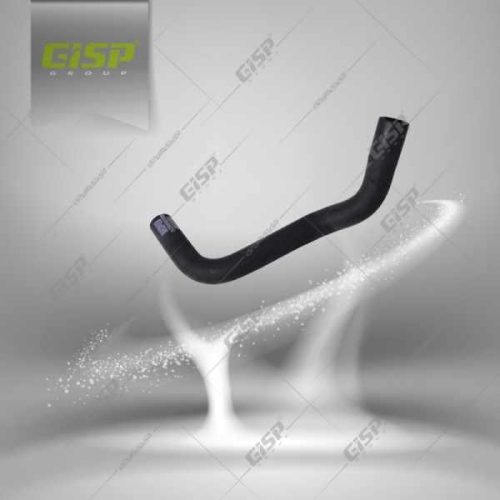 شیلنگ خروجی آب از منبع انبساط 206 Gisp