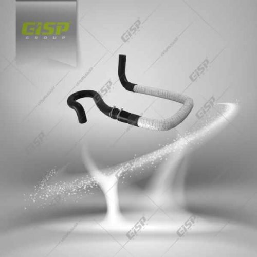 شیلنگ خروجی آب رادیاتور بخاری R2 پژو 405 Gisp