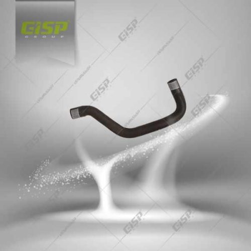 شیلنگ ورودی آب رادیاتور بخاری کوتاه 405 Gisp