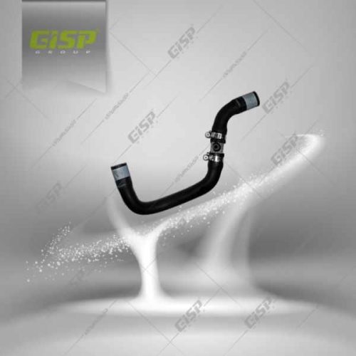 شیلنگ ورودی آب رادیاتور بخاری کوتاه گازسوز 405 Gisp