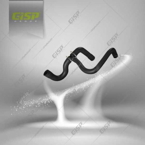 مجموعه شیلنگ خروجی آب رادیاتور پایین رانا Gisp